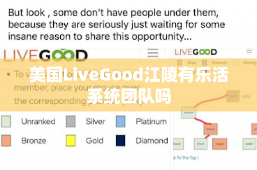 美国LiveGood江陵有乐活系统团队吗