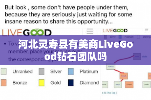 河北灵寿县有美商LiveGood钻石团队吗